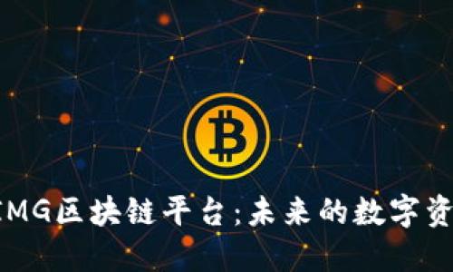 深入探讨BIMG区块链平台：未来的数字资产解决方案