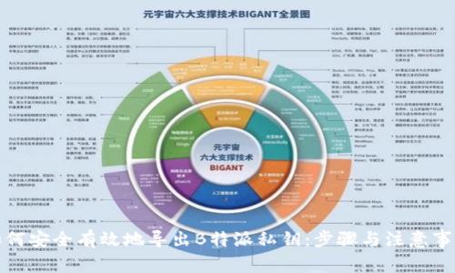 如何安全有效地导出B特派私钥：步骤与注意事项