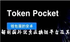 全面解析国外优秀区块链