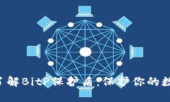 ziaoti深入了解BitP保护盾：