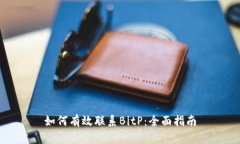 如何有效联系BitP：全面指