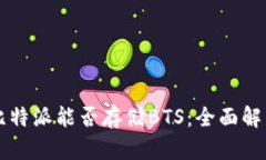 比特派能否存储BTS：全面解析