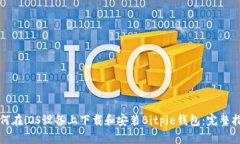 如何在iOS设备上下载和安