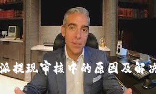 比特派提现审核中的原因及解决方法