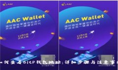 如何查看BitP钱包地址：详细步骤与注意事项