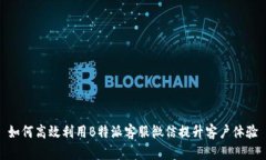 如何高效利用B特派客服微