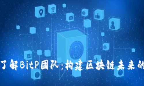 深入了解BitP团队：构建区块链未来的先锋
