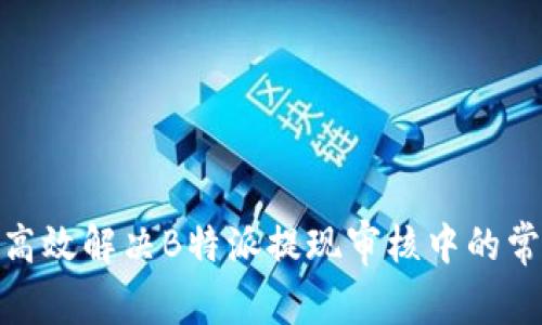 : 如何高效解决B特派提现审核中的常见问题
