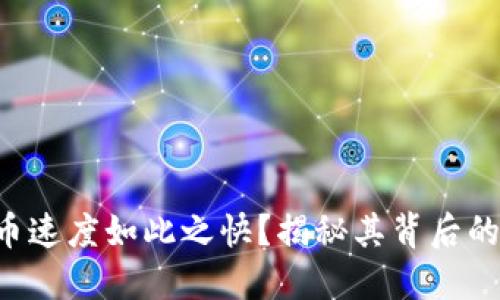 为什么B特派收币速度如此之快？揭秘其背后的技术与运营优势