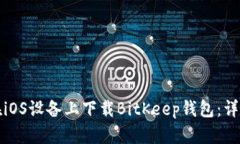 如何在iOS设备上下载BitK