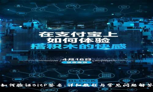 如何验证BitP签名：详细教程与常见问题解答