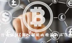 比特派是什么协议？深入解析比特派的工作原理