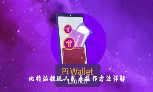 比特派提现人民币操作方法详解
