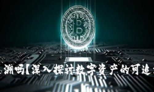 比特派可以追溯吗？深入探讨数字资产的可追溯性和隐私性