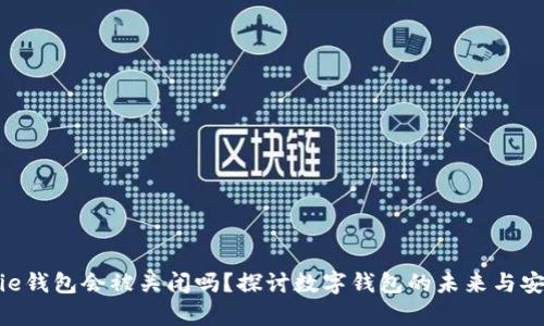 Bitpie钱包会被关闭吗？探讨数字钱包的未来与安全性