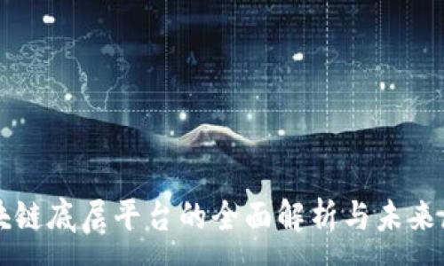 :
区块链底层平台的全面解析与未来展望