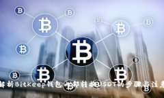 全面解析BitKeep钱包内部转