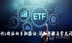 如何进行b特派的手机验证