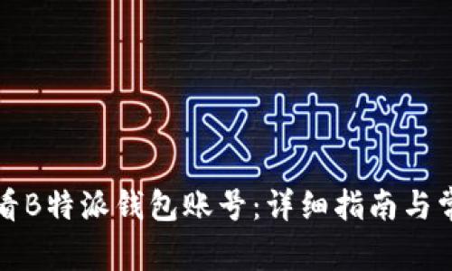 如何查看B特派钱包账号：详细指南与常见问题