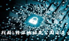 如何判断b特派地址是公司