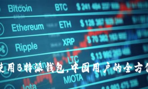 如何使用B特派钱包，中国用户的全方位指南
