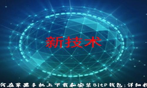 
如何在苹果手机上下载和安装BitP钱包：详细指南