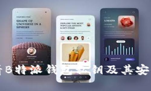 如何查看B特派钱包私钥及其安全性解析