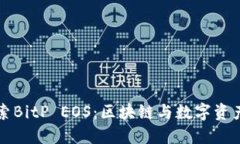 深入探索BitP EOS：区块链与