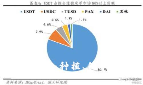 揭秘B特派种子密语：种植、保养与收获的全攻略