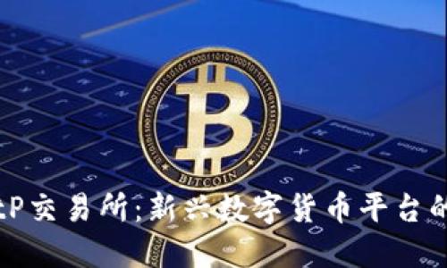 深入探索BitP交易所：新兴数字货币平台的优势与挑战