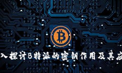 深入探讨B特派的密钥作用及其应用