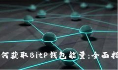 如何获取BitP钱包能量：全