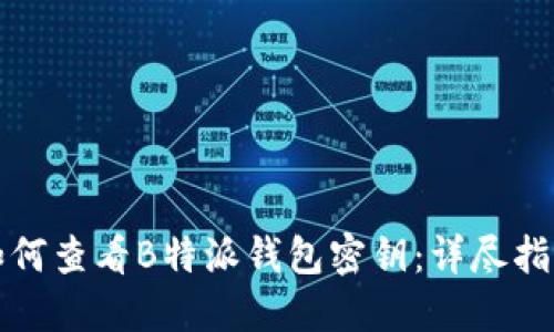 如何查看B特派钱包密钥：详尽指南