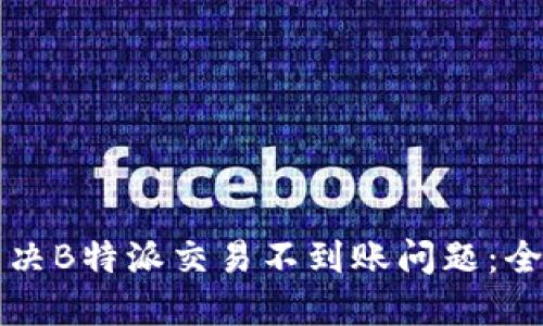 如何解决B特派交易不到账问题：全面指南