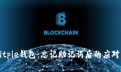 立即找回Bitpie钱包：忘记