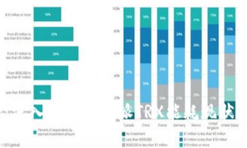 2025必看：深入了解比特派TRX能耗现状与未来趋势