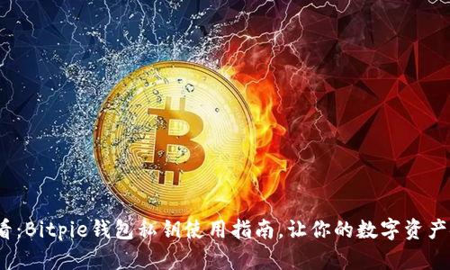 2025必看：Bitpie钱包私钥使用指南，让你的数字资产安全无忧