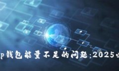 如何解决Bitp钱包能量不足