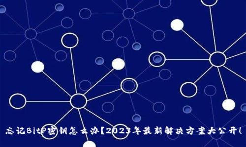 忘记BitP密钥怎么办？2023年最新解决方案大公开！
