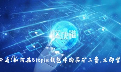 2025必看！如何在Bitpie钱包中购买矿工费，立即掌握技巧