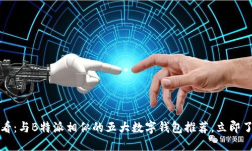 2025必看：与B特派相似的五大数字钱包推荐，立即了解更多！