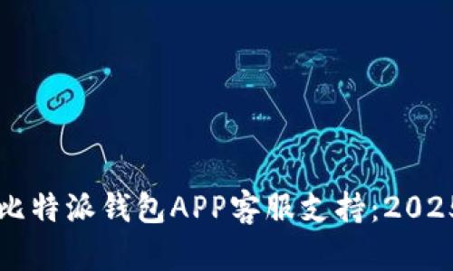 立即获取比特派钱包APP客服支持：2025必看详解