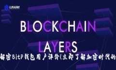 2025必看：解密BitP钱包用户