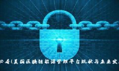 2025必看！美国区块链能源