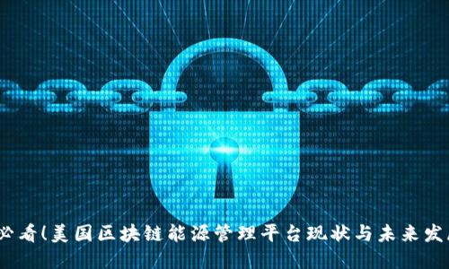 2025必看！美国区块链能源管理平台现状与未来发展趋势