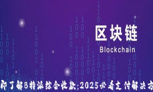 
立即了解B特派综合收款：2025必看支付解决方案