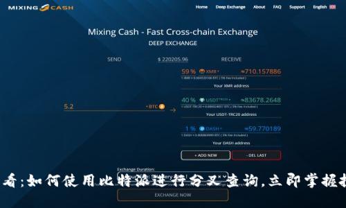 2025必看：如何使用比特派进行分叉查询，立即掌握投资先机