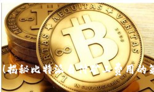 2025必看！揭秘比特派自付矿工费用的策略与技巧