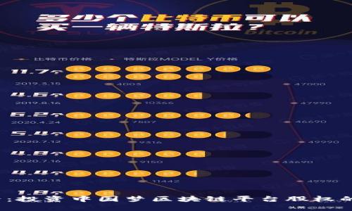 2025必看：投资中国梦区块链平台股权的最佳时机