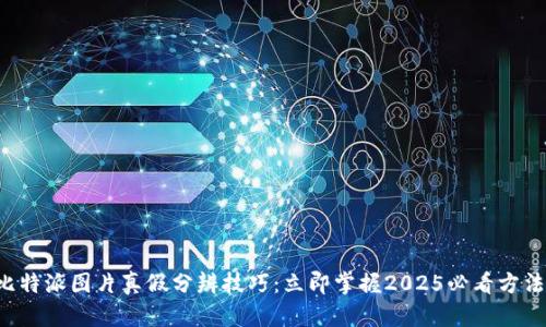 比特派图片真假分辨技巧：立即掌握2025必看方法！